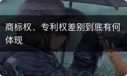 商标权、专利权差别到底有何体现
