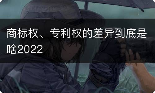 商标权、专利权的差异到底是啥2022