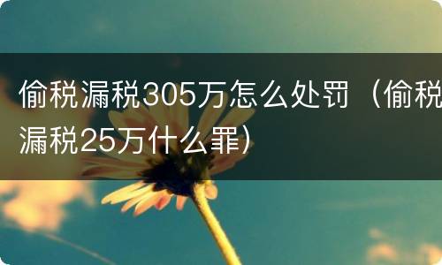 偷税漏税305万怎么处罚（偷税漏税25万什么罪）