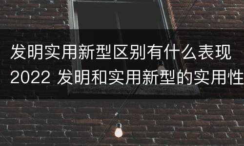 发明实用新型区别有什么表现2022 发明和实用新型的实用性包括