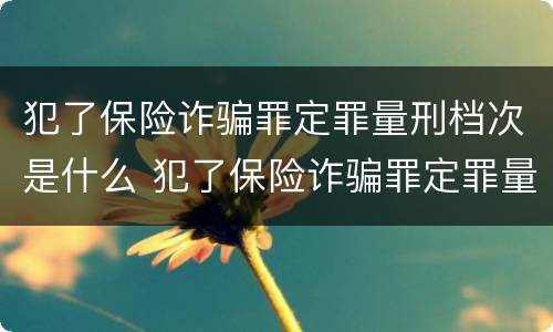 犯了保险诈骗罪定罪量刑档次是什么 犯了保险诈骗罪定罪量刑档次是什么标准