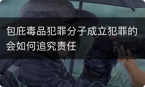 包庇毒品犯罪分子成立犯罪的会如何追究责任
