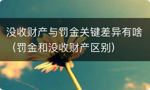 没收财产与罚金关键差异有啥（罚金和没收财产区别）