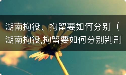 湖南拘役、拘留要如何分别（湖南拘役,拘留要如何分别判刑）