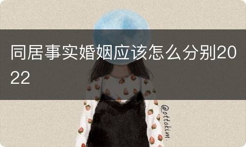 同居事实婚姻应该怎么分别2022
