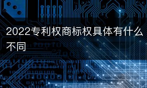 2022专利权商标权具体有什么不同
