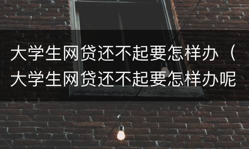 大学生网贷还不起要怎样办（大学生网贷还不起要怎样办呢）
