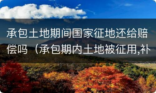 承包土地期间国家征地还给赔偿吗（承包期内土地被征用,补偿给农民吗）