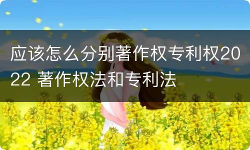 应该怎么分别著作权专利权2022 著作权法和专利法