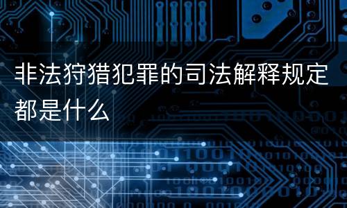 非法狩猎犯罪的司法解释规定都是什么