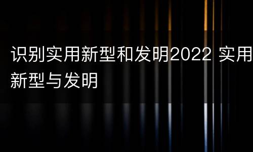 识别实用新型和发明2022 实用新型与发明