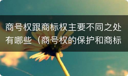 商号权跟商标权主要不同之处有哪些（商号权的保护和商标权的保护一样是全国性范围的）