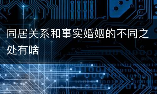 同居关系和事实婚姻的不同之处有啥