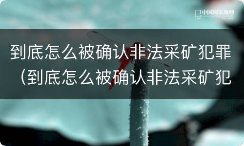 到底怎么被确认非法采矿犯罪（到底怎么被确认非法采矿犯罪行为）