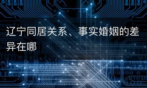 辽宁同居关系、事实婚姻的差异在哪