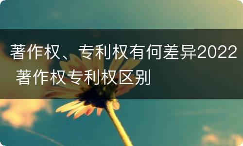 著作权、专利权有何差异2022 著作权专利权区别