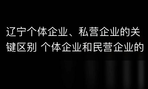 辽宁个体企业、私营企业的关键区别 个体企业和民营企业的区别