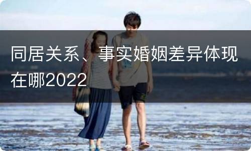 同居关系、事实婚姻差异体现在哪2022