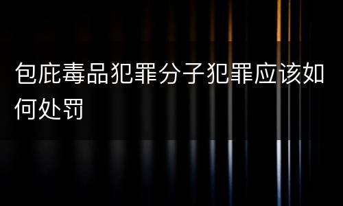 包庇毒品犯罪分子犯罪应该如何处罚