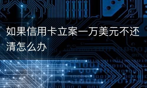 如果信用卡立案一万美元不还清怎么办