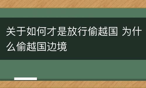 关于如何才是放行偷越国 为什么偷越国边境