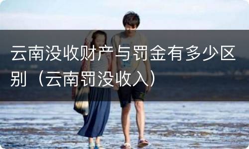 云南没收财产与罚金有多少区别（云南罚没收入）