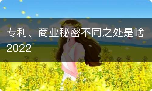 专利、商业秘密不同之处是啥2022