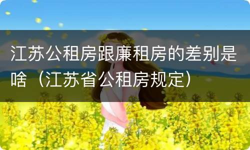 江苏公租房跟廉租房的差别是啥（江苏省公租房规定）
