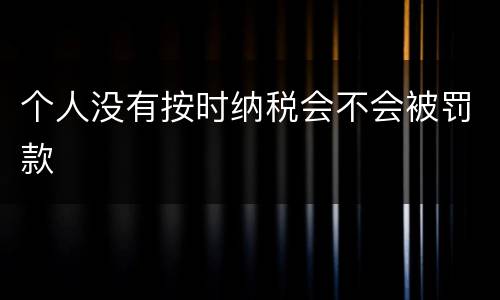个人没有按时纳税会不会被罚款
