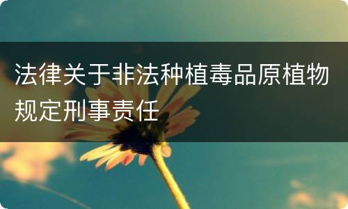 法律关于非法种植毒品原植物规定刑事责任