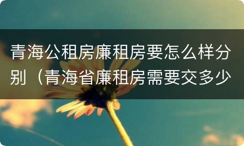 青海公租房廉租房要怎么样分别（青海省廉租房需要交多少钱）