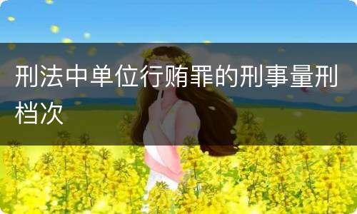 刑法中单位行贿罪的刑事量刑档次
