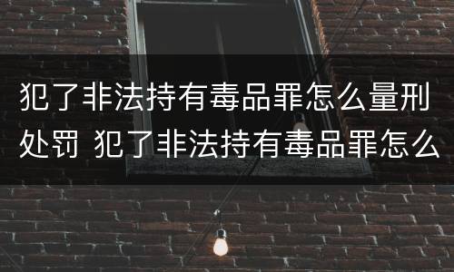 犯了非法持有毒品罪怎么量刑处罚 犯了非法持有毒品罪怎么量刑处罚的