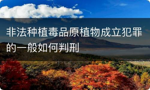 非法种植毒品原植物成立犯罪的一般如何判刑