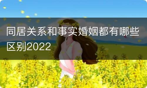 同居关系和事实婚姻都有哪些区别2022