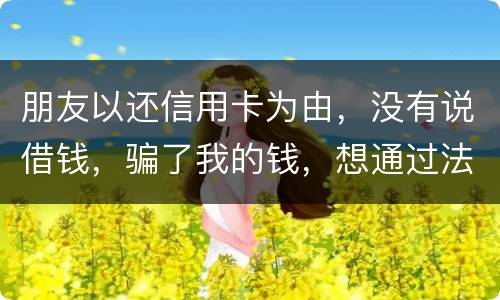 朋友以还信用卡为由，没有说借钱，骗了我的钱，想通过法律途径要回来