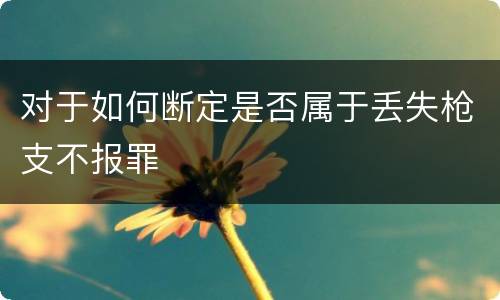 对于如何断定是否属于丢失枪支不报罪