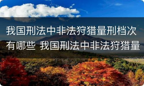 我国刑法中非法狩猎量刑档次有哪些 我国刑法中非法狩猎量刑档次有哪些