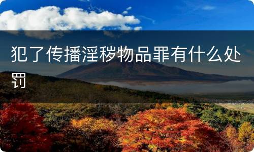 犯了传播淫秽物品罪有什么处罚