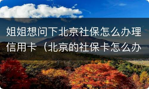 姐姐想问下北京社保怎么办理信用卡（北京的社保卡怎么办理）