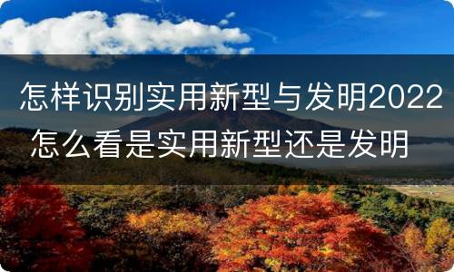 怎样识别实用新型与发明2022 怎么看是实用新型还是发明