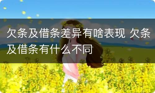 欠条及借条差异有啥表现 欠条及借条有什么不同
