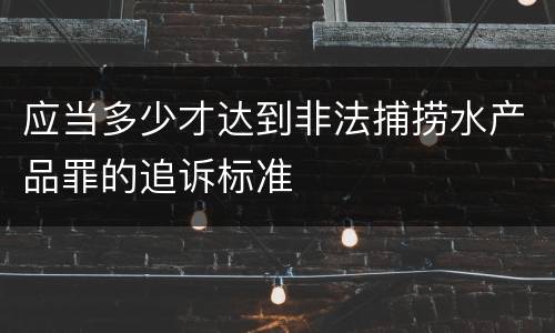 应当多少才达到非法捕捞水产品罪的追诉标准