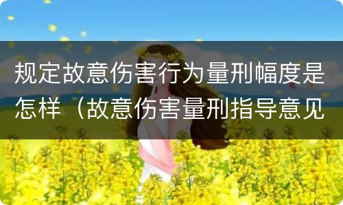 规定故意伤害行为量刑幅度是怎样（故意伤害量刑指导意见）