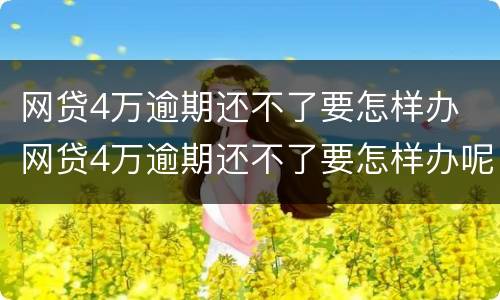 网贷4万逾期还不了要怎样办 网贷4万逾期还不了要怎样办呢