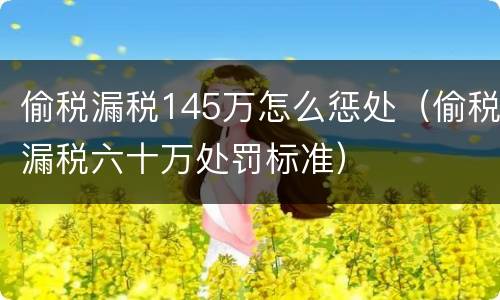 偷税漏税145万怎么惩处（偷税漏税六十万处罚标准）