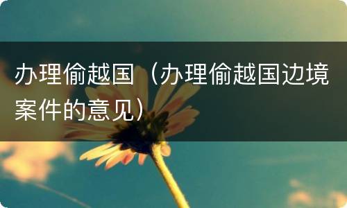 办理偷越国（办理偷越国边境案件的意见）