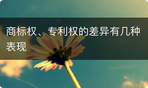 商标权、专利权的差异有几种表现