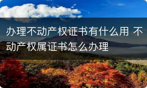 办理不动产权证书有什么用 不动产权属证书怎么办理