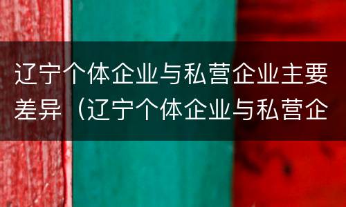 辽宁个体企业与私营企业主要差异（辽宁个体企业与私营企业主要差异有哪些）